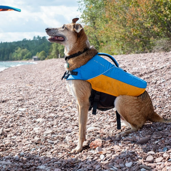 Astral Birdog Buoyancy Aid